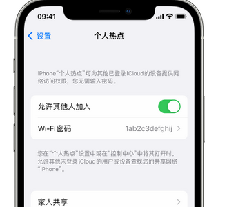 神木apple服务站点分享iPhone上个人热点丢失了怎么办 