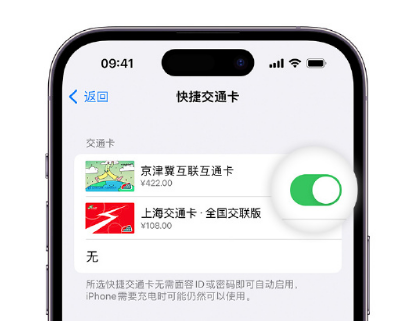 神木apple维修点分享iPhone上更换Apple Pay快捷交通卡手绘卡面 