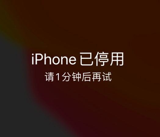 神木苹果手机维修分享:iPhone 显示“不可用”或“已停用”怎么办？还能保留数据吗？ 