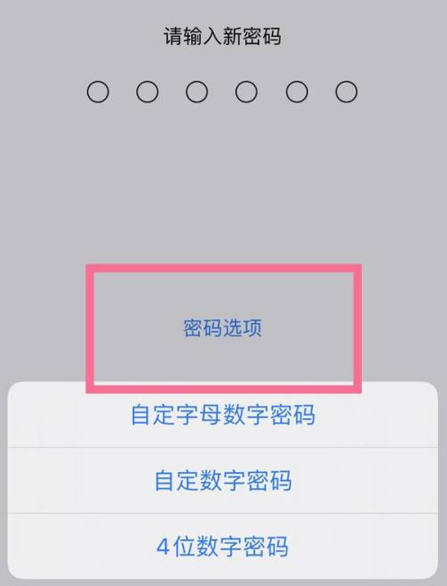 神木苹果14维修分享iPhone 14plus设置密码的方法 