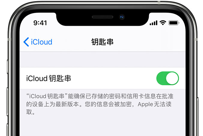 神木苹果手机维修分享在 iPhone 上开启 iCloud 钥匙串之后会储存哪些信息 