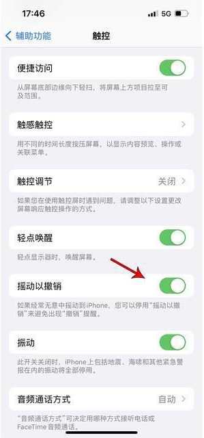 神木苹果手机维修分享iPhone手机如何设置摇一摇删除文字 